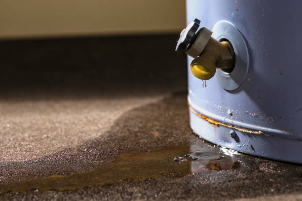 Best Ceiling water damage repair  in Tonawanda, NY