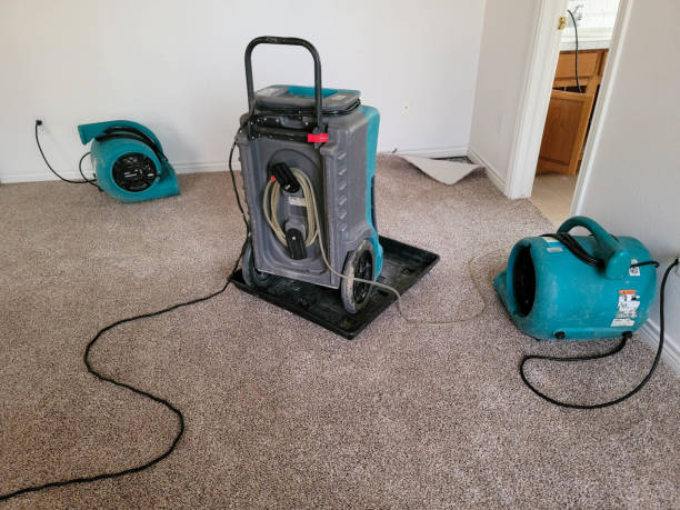 Best Commercial water damage restoration  in Tonawanda, NY