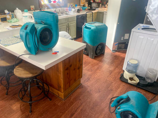 Best Commercial water damage restoration  in Tonawanda, NY