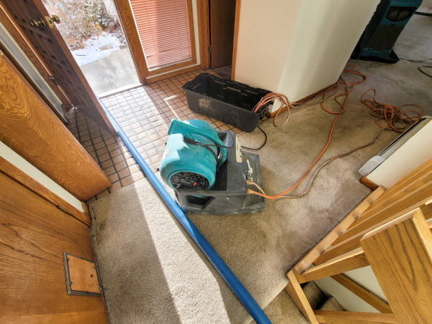 Best Flooded house restoration  in Tonawanda, NY