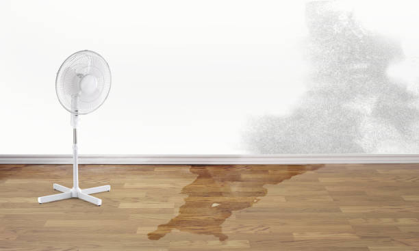 Best Water damage cleanup near me  in Tonawanda, NY