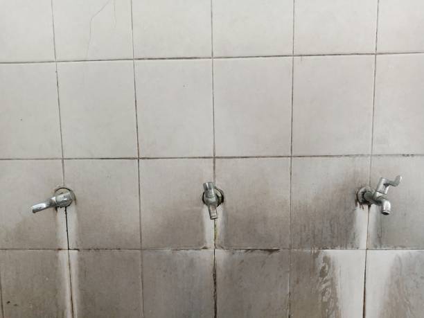 Best Emergency water extraction  in Tonawanda, NY