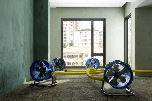 Best Carpet water damage restoration  in Tonawanda, NY